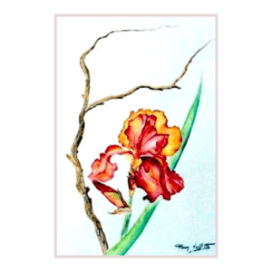 Iris orangé | Peinture Aquarelle 30x40 cm