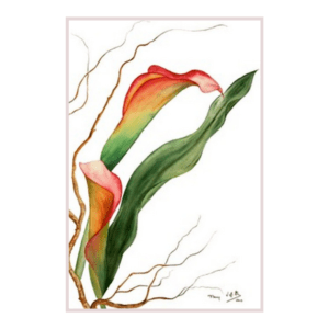 Arumums Flamboyants | Peinture Aquarelle 60x46 cm